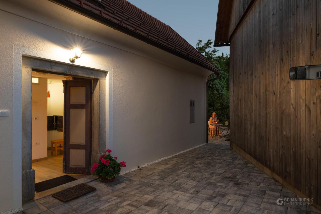 Cherry House - Cosy House - Ideal For Bear Watching, In The Neighborhood Of The Medieval Sneznik Castle Stari Trg pri Lozu 外观 照片