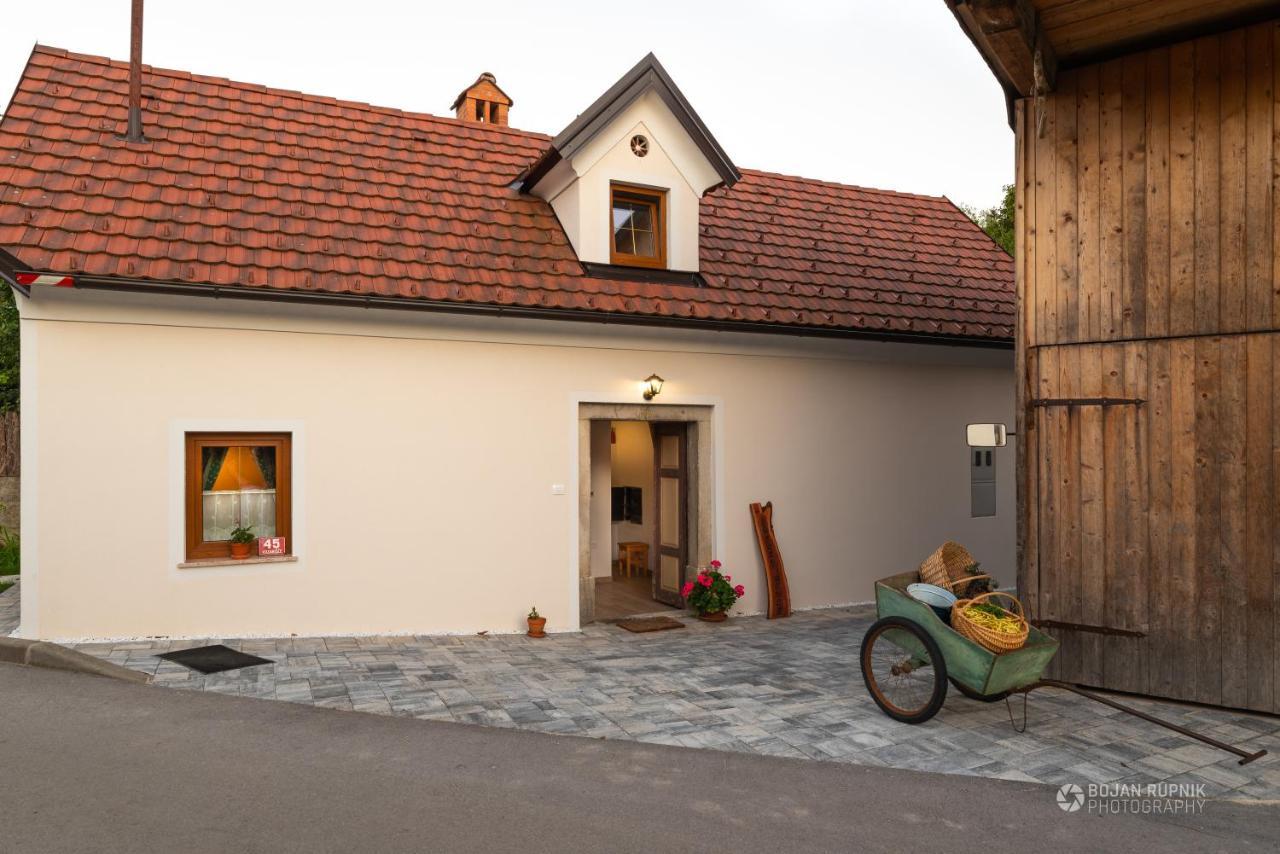 Cherry House - Cosy House - Ideal For Bear Watching, In The Neighborhood Of The Medieval Sneznik Castle Stari Trg pri Lozu 外观 照片