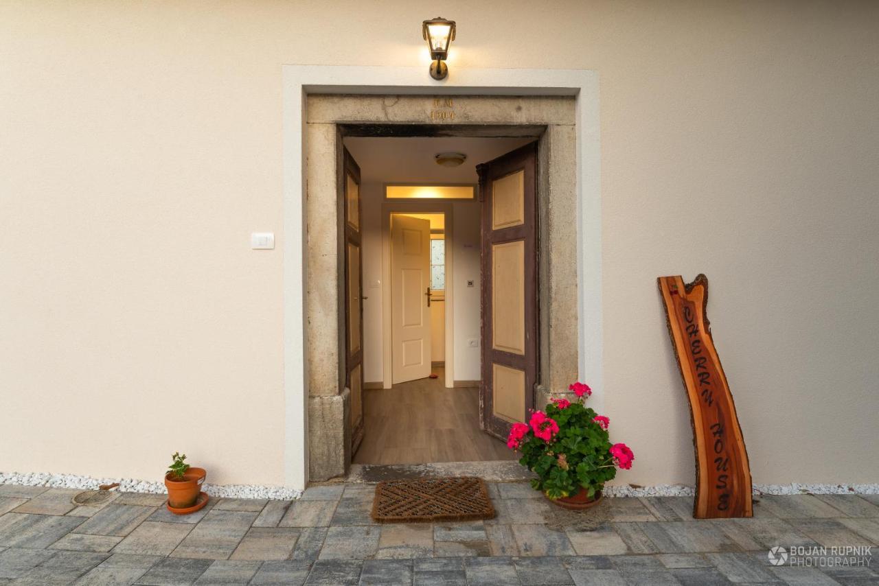 Cherry House - Cosy House - Ideal For Bear Watching, In The Neighborhood Of The Medieval Sneznik Castle Stari Trg pri Lozu 外观 照片