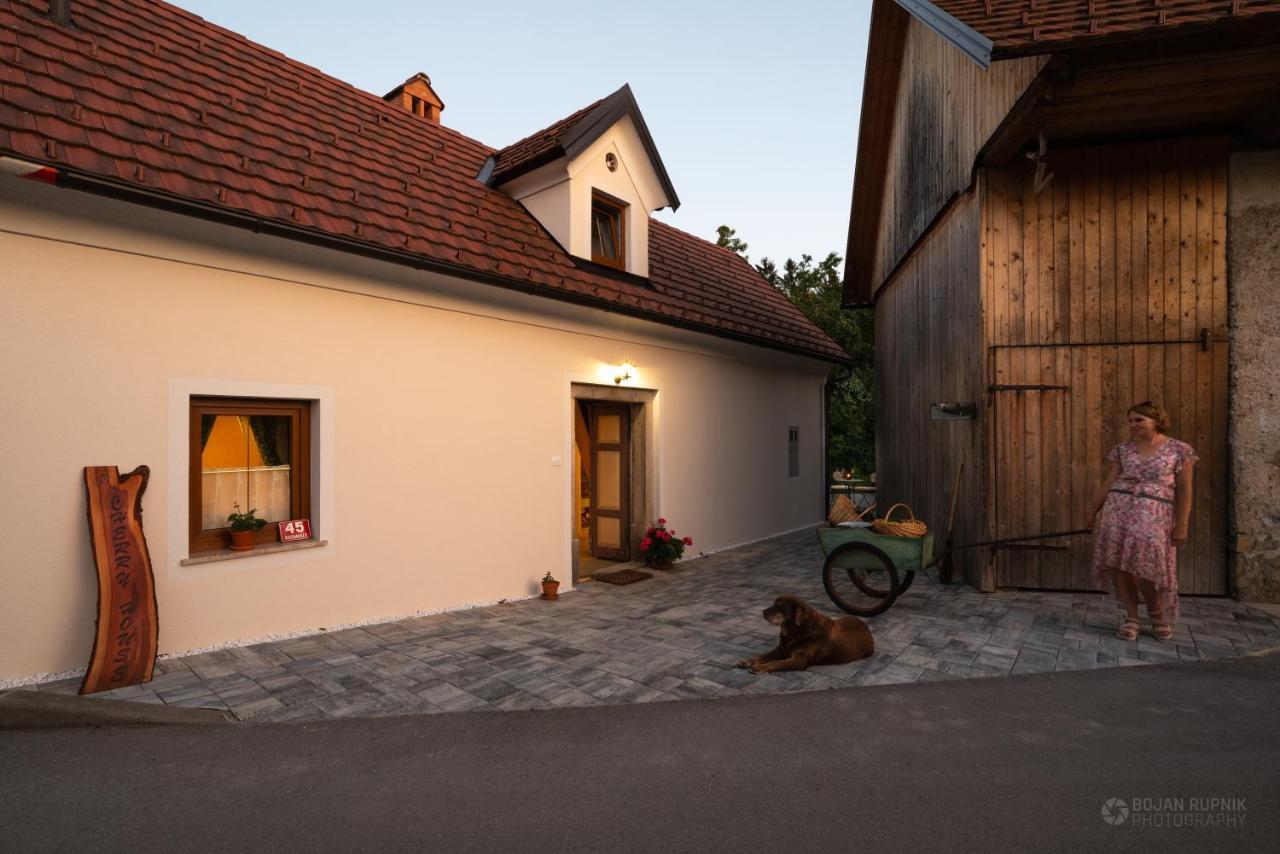 Cherry House - Cosy House - Ideal For Bear Watching, In The Neighborhood Of The Medieval Sneznik Castle Stari Trg pri Lozu 外观 照片