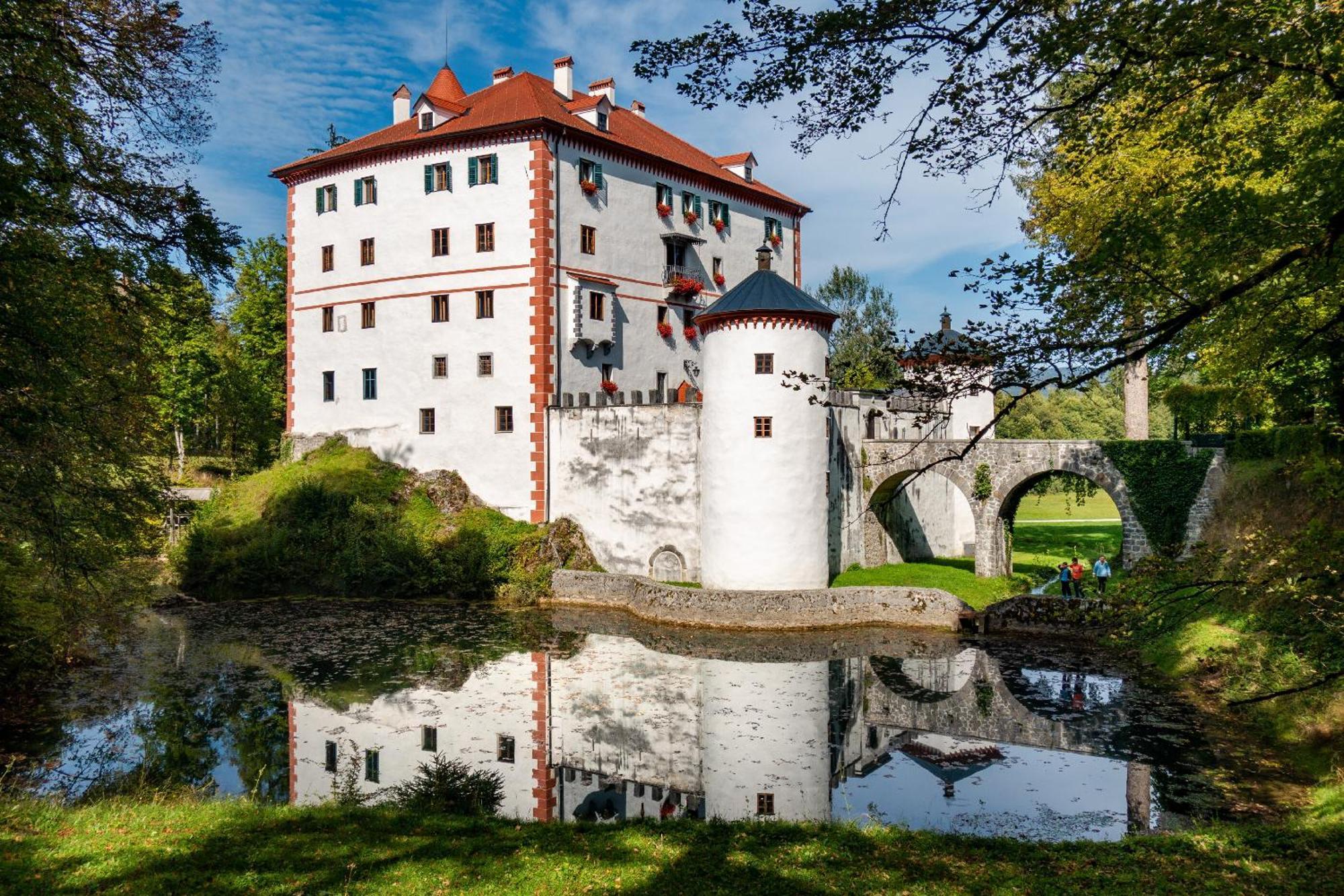 Cherry House - Cosy House - Ideal For Bear Watching, In The Neighborhood Of The Medieval Sneznik Castle Stari Trg pri Lozu 外观 照片